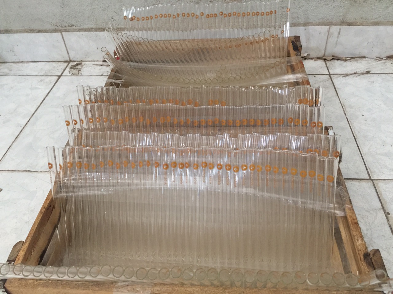 In trên chất liệu nhựa